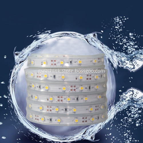 Waterproof 12V 60leds/m Christmas Light Outdoor